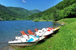 Eco-Friendly paddle boats on a green grass shore with rolling green hills in the background