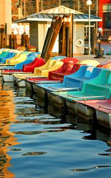 Buying a paddle-boat