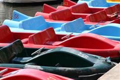 Paddle boats lined up at the dock