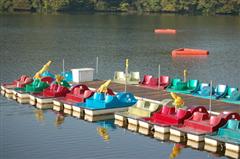 paddle boats on still water at the dock